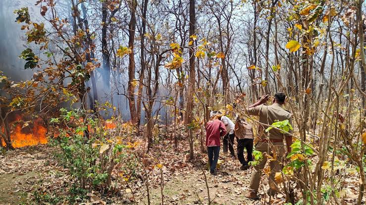 images 2 9 - सिद्ध पीठ मां कामाख्या धाम के जंगलों में भीषण आग ।