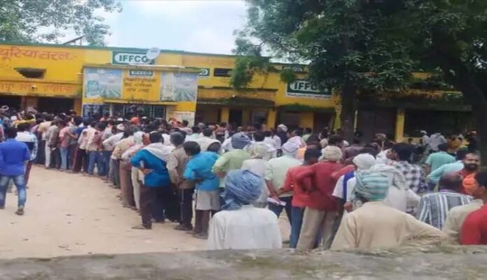 Farmers are angry over the shortage of urea administration claims that all the committees have availability of fertilizer 696x400 1 - यूरिया की किल्लत पर किसानों में आक्रोश, लगी लंबी-लंबी लाइनें।