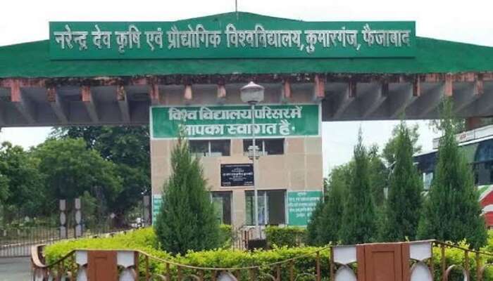 ndu6881519835x547 m 1659101631 - 23.17 करोड़ की लागत से बनेगा हाईटेक छात्रावास, शासन ने दी मंजूरी।